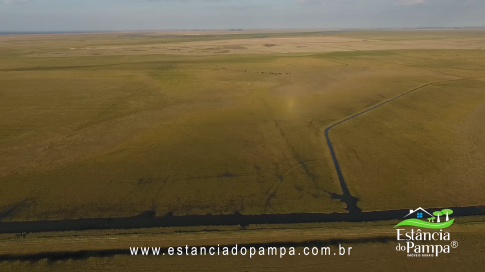 FAZENDA À VENDA NO RS COM 2274 HA (2).00_02_25_11.Quadro011_6c1b8d39d8df2719d3ee0f6b9a6f7abd9f1d233c.png